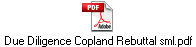 Due Diligence Copland Rebuttal sml.pdf