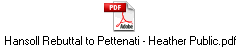 Hansoll Rebuttal to Pettenati - Heather Public.pdf